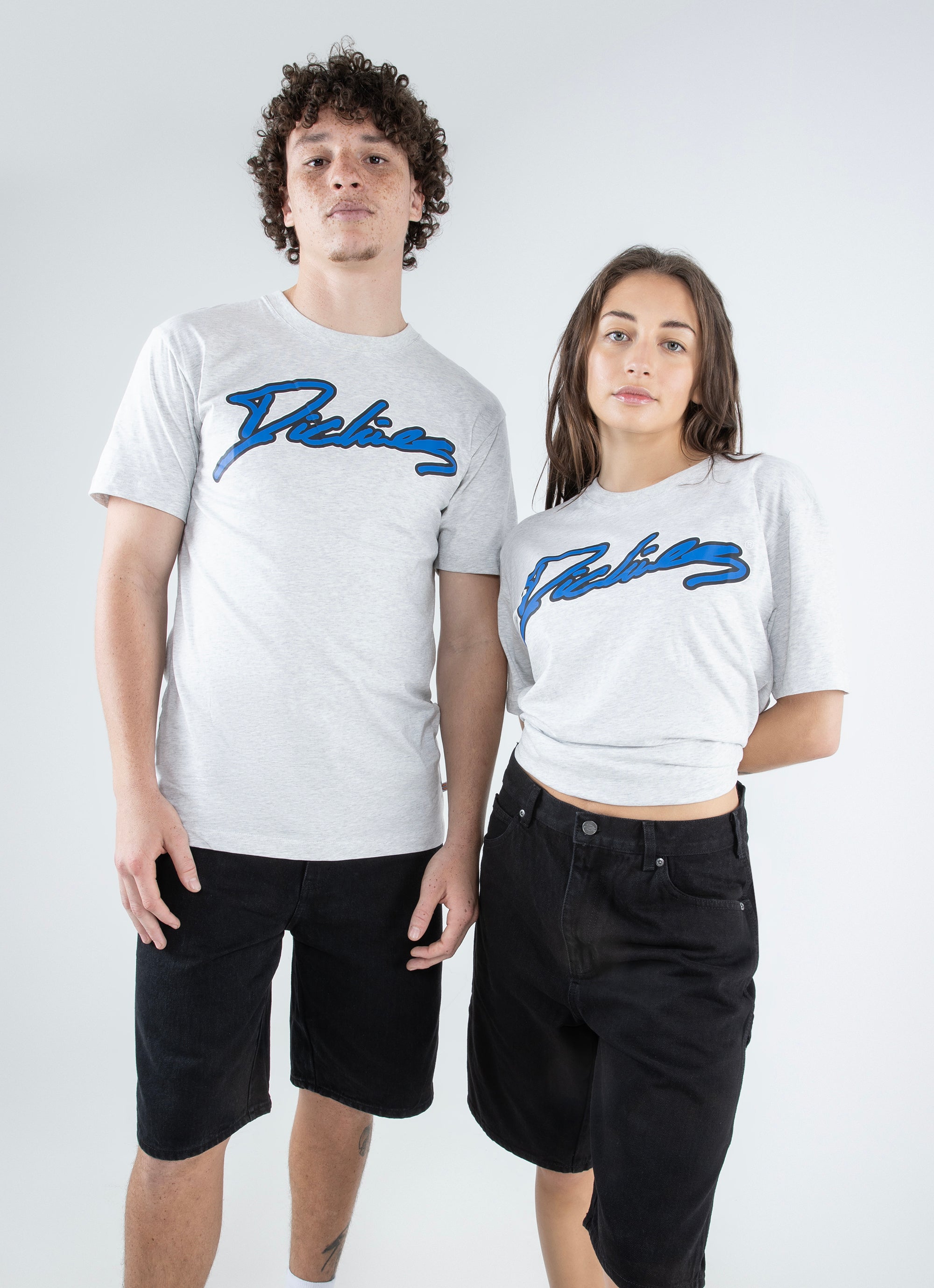 Dickies t shirt outlet nz