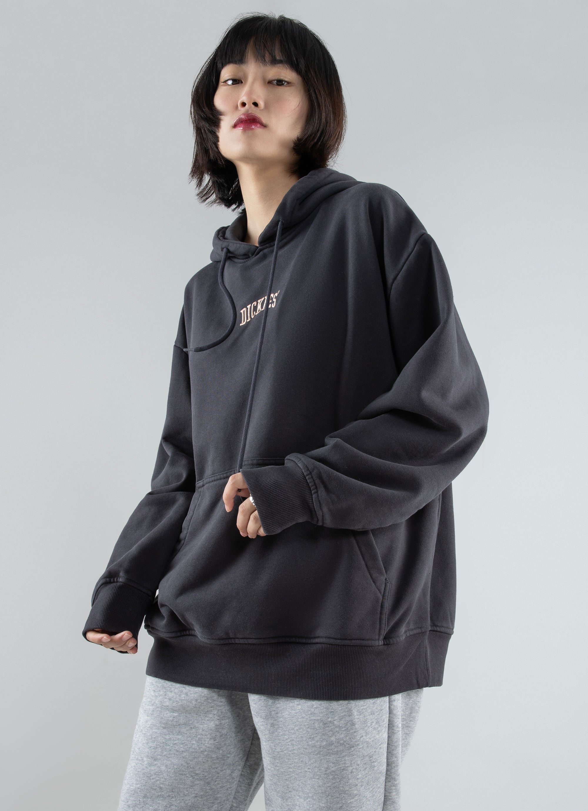 Dickies hot sale pullover hoodie