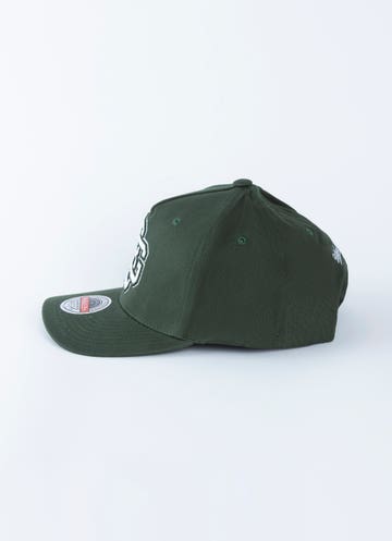 Mitchell & Ness Nfl Green Bay Packers Seasonal Team Logo 110 Snapback Cap  in Green