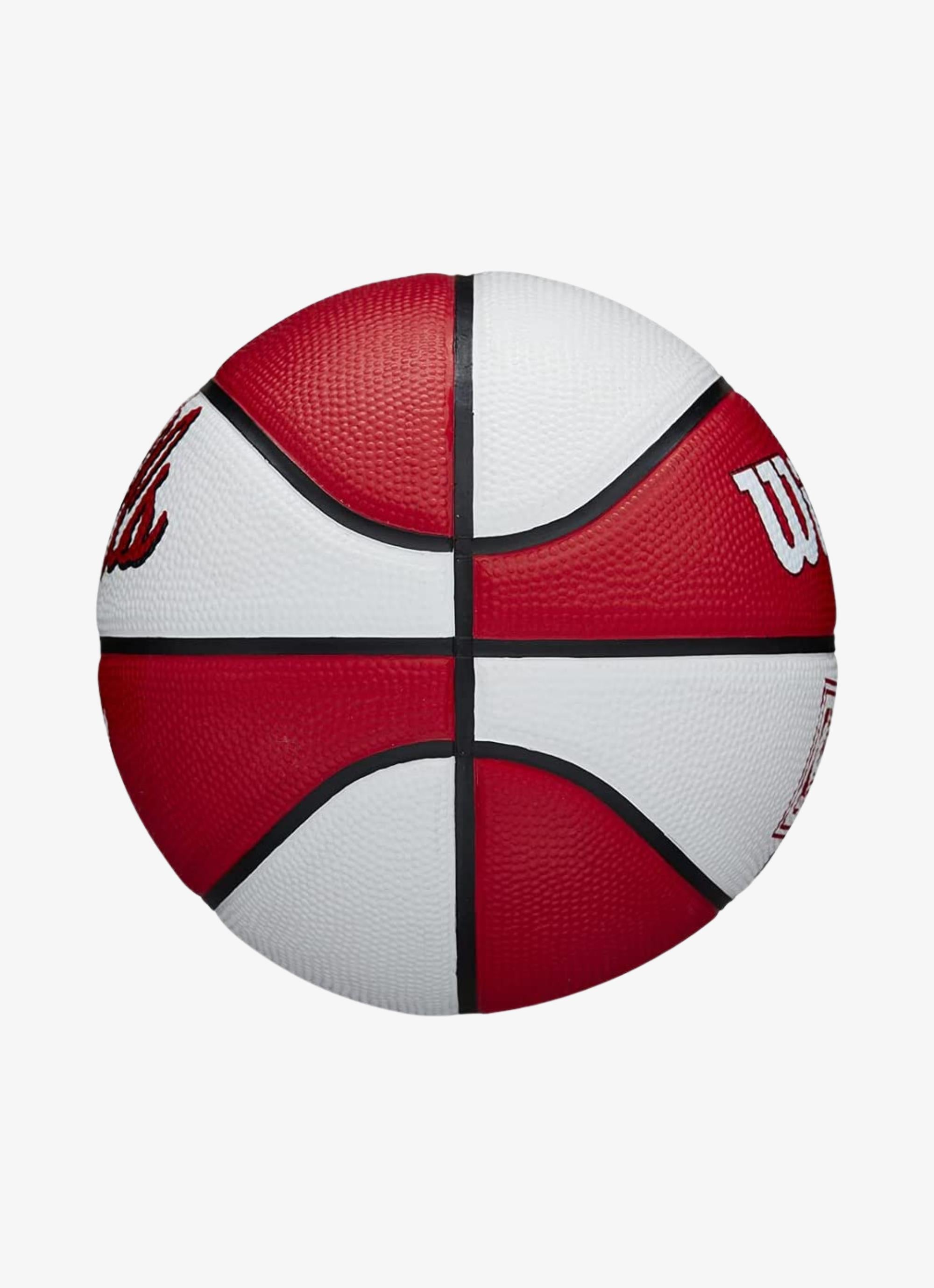 Wilson NBA DRV Outdoor Mini Basketball, Red 